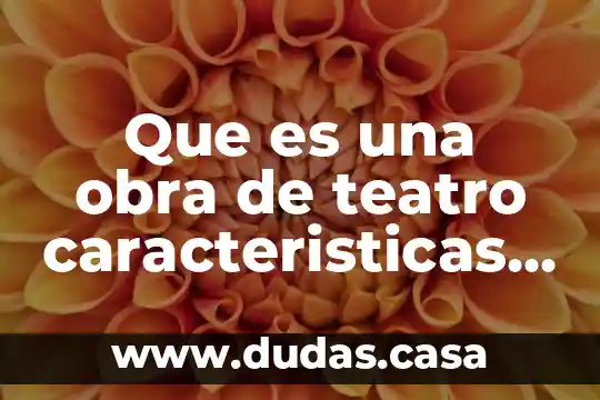 Que es una obra de teatro caracteristicas y objetibo etc