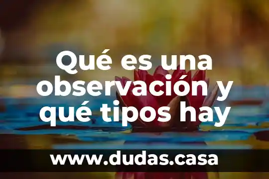 Qué es una observación y qué tipos hay