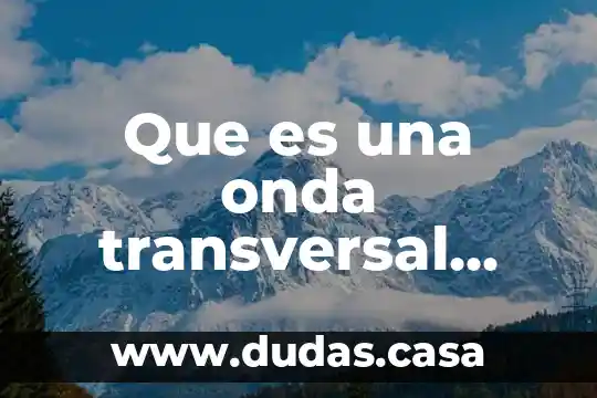 Que es una onda transversal periodica