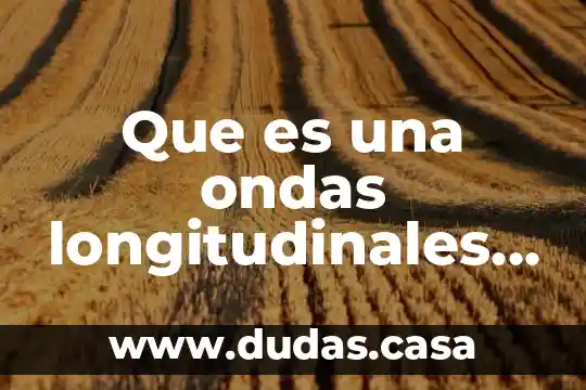 Que es una ondas longitudinales y una transversales para niños