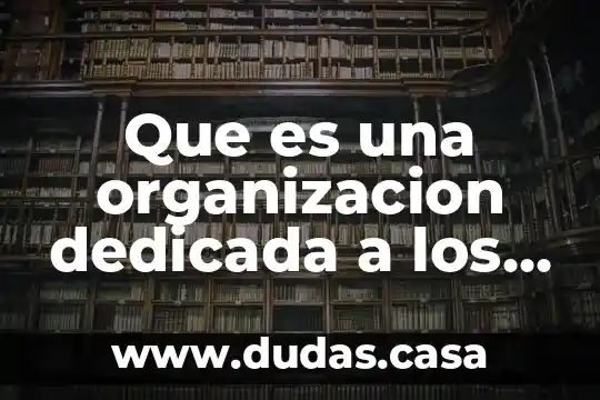 Que es una organizacion dedicada a los servicios de salud