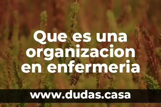 Que es una organizacion en enfermeria