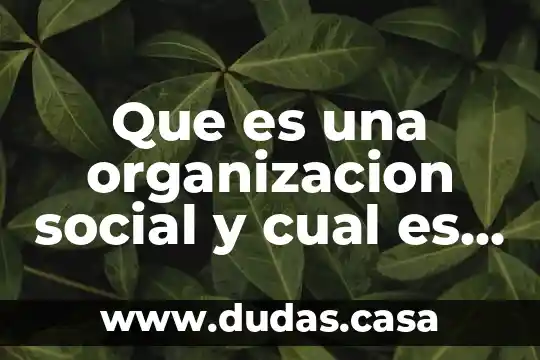 Que es una organizacion social y cual es su funcion