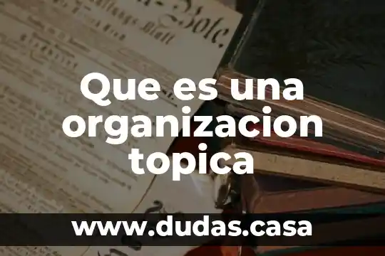 Que es una organizacion topica