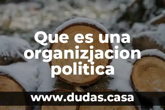 Que es una organizjacion politica