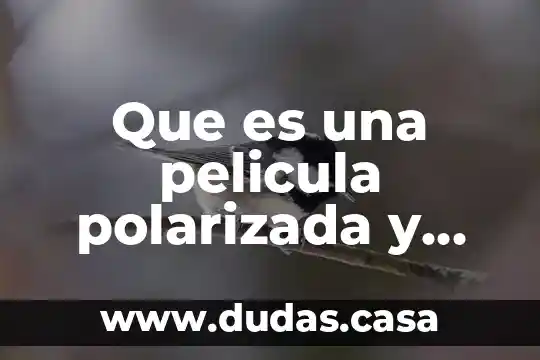 Que es una pelicula polarizada y que funcion tiene
