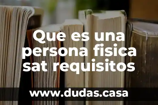 Que es una persona fisica sat requisitos