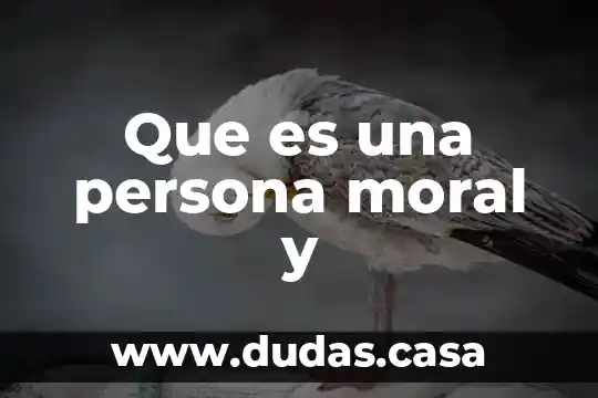 Que es una persona moral y