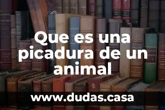 Que es una picadura de un animal