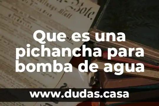 Que es una pichancha para bomba de agua