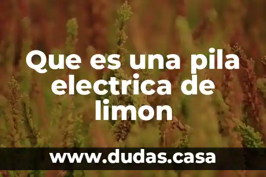 Que es una pila electrica de limon