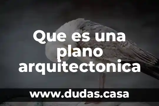 Que es una plano arquitectonica