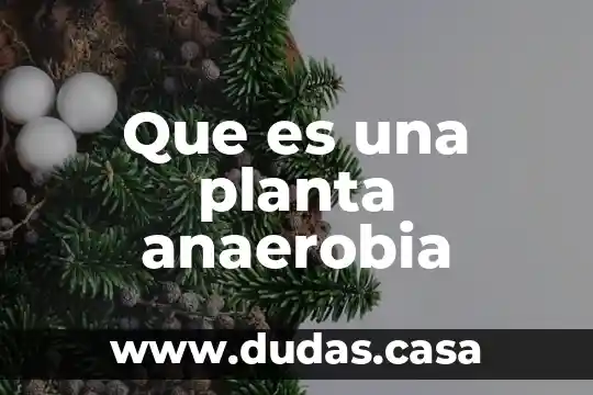 Que es una planta anaerobia