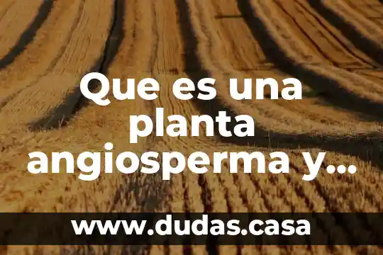 Que es una planta angiosperma y gimnosperma