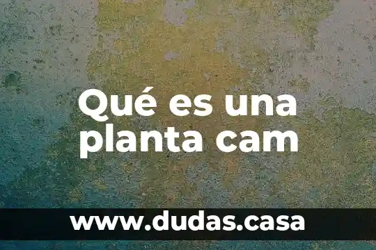 Qué es una planta cam