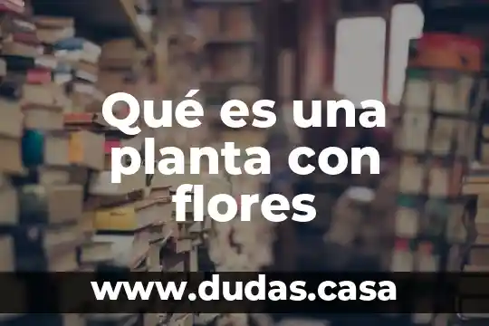 Qué es una planta con flores