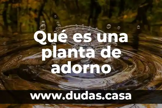 Qué es una planta de adorno