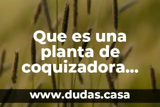 Que es una planta de coquizadora retardada