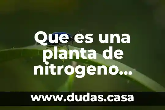 Que es una planta de nitrogeno industria