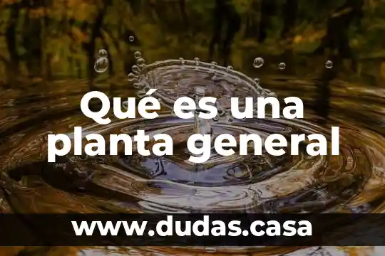 Qué es una planta general
