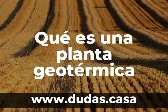 Qué es una planta geotérmica