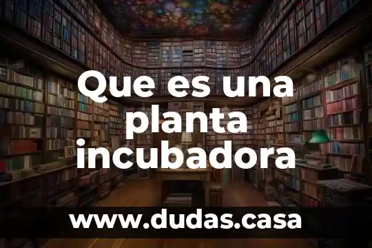 Que es una planta incubadora