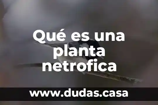 Qué es una planta netrofica