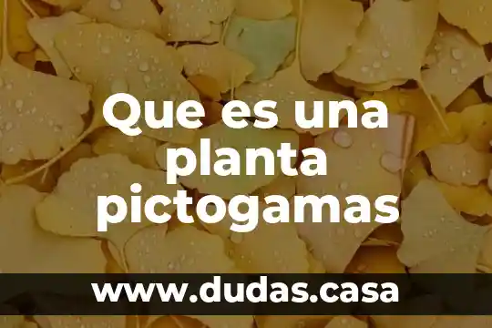 Que es una planta pictogamas