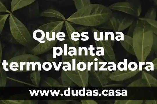 Que es una planta termovalorizadora
