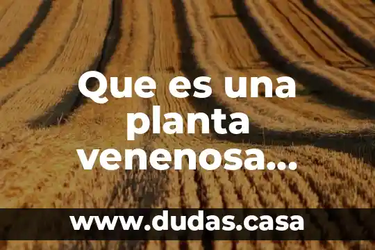Que es una planta venenosa caracteristicas