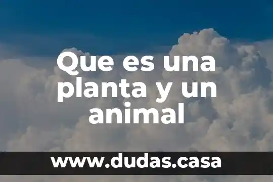 Que es una planta y un animal