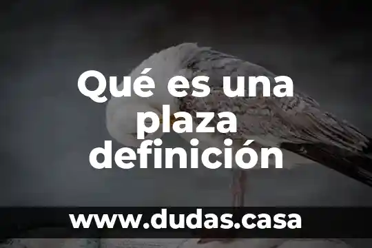 Qué es una plaza definición