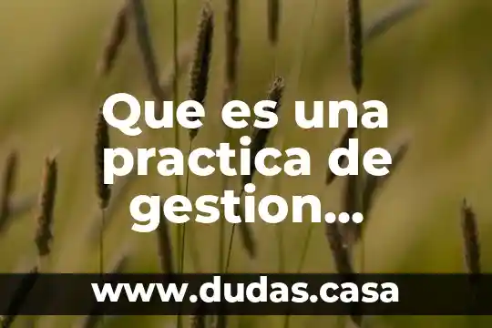 Que es una practica de gestion cultural