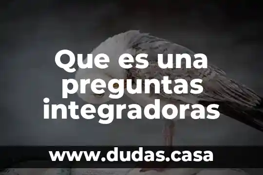 Que es una preguntas integradoras