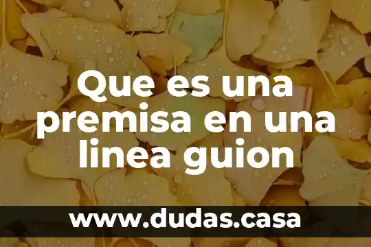 Que es una premisa en una linea guion
