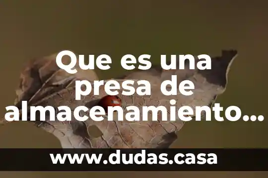 Que es una presa de almacenamiento de agua