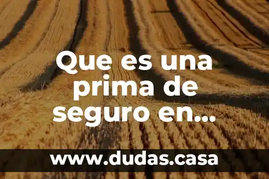 Que es una prima de seguro en contabilidad