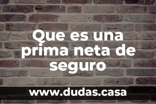 Que es una prima neta de seguro