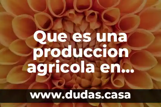 Que es una produccion agricola en mexico i sus caracteristicas