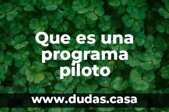 Que es una programa piloto