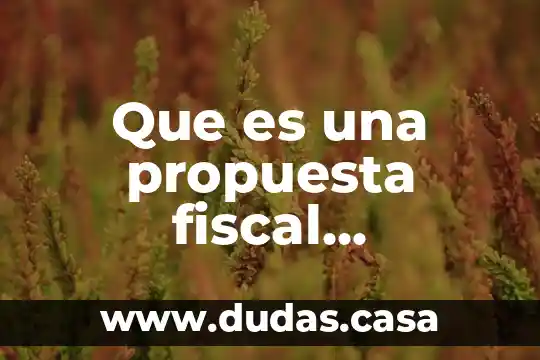Que es una propuesta fiscal contraciclica