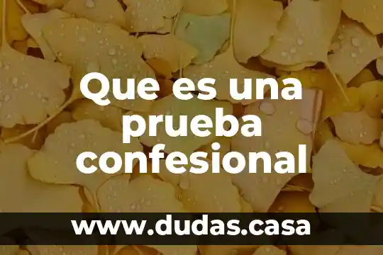 Que es una prueba confesional