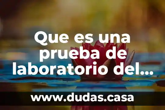 Que es una prueba de laboratorio del concreto