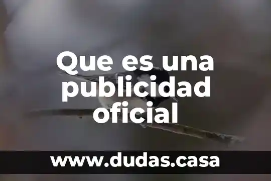 Que es una publicidad oficial