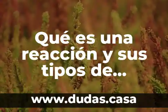 Qué es una reacción y sus tipos de reacción