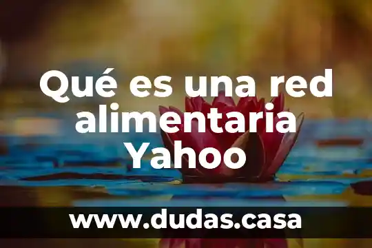 Qué es una red alimentaria Yahoo