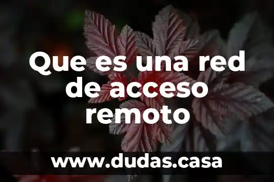 Que es una red de acceso remoto