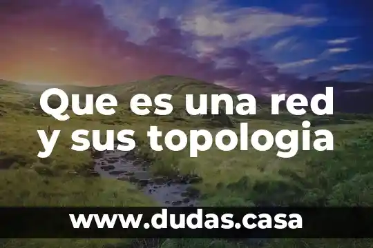 Que es una red y sus topologia