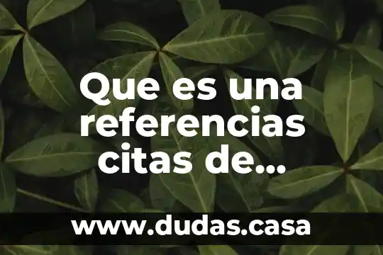 Que es una referencias citas de parafrasis ejemplo