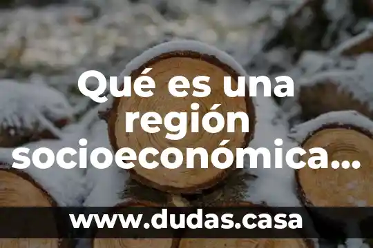 Qué es una región socioeconómica significado